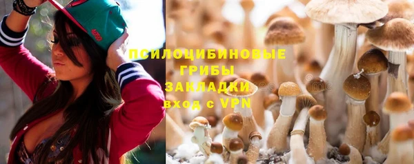 прущая мука Арсеньев