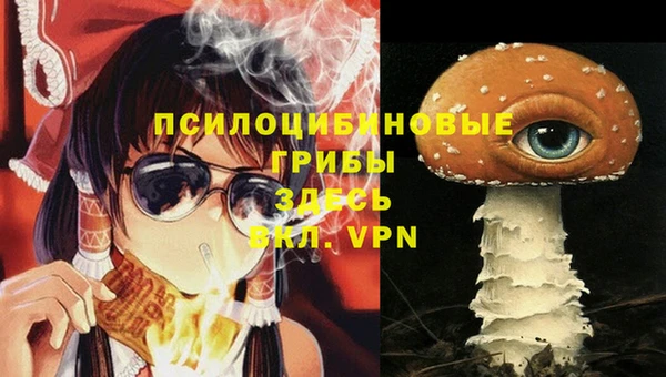 spice Аркадак