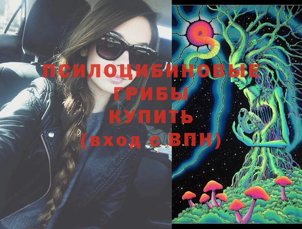прущая мука Арсеньев