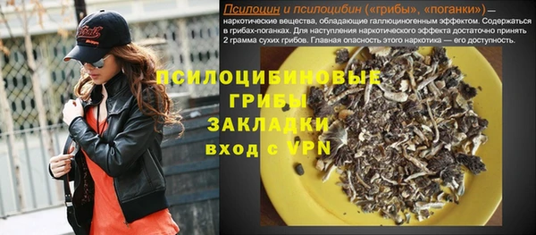 прущая мука Арсеньев